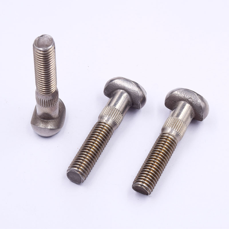 Stainless Steel Special-Shaped Fasteners
