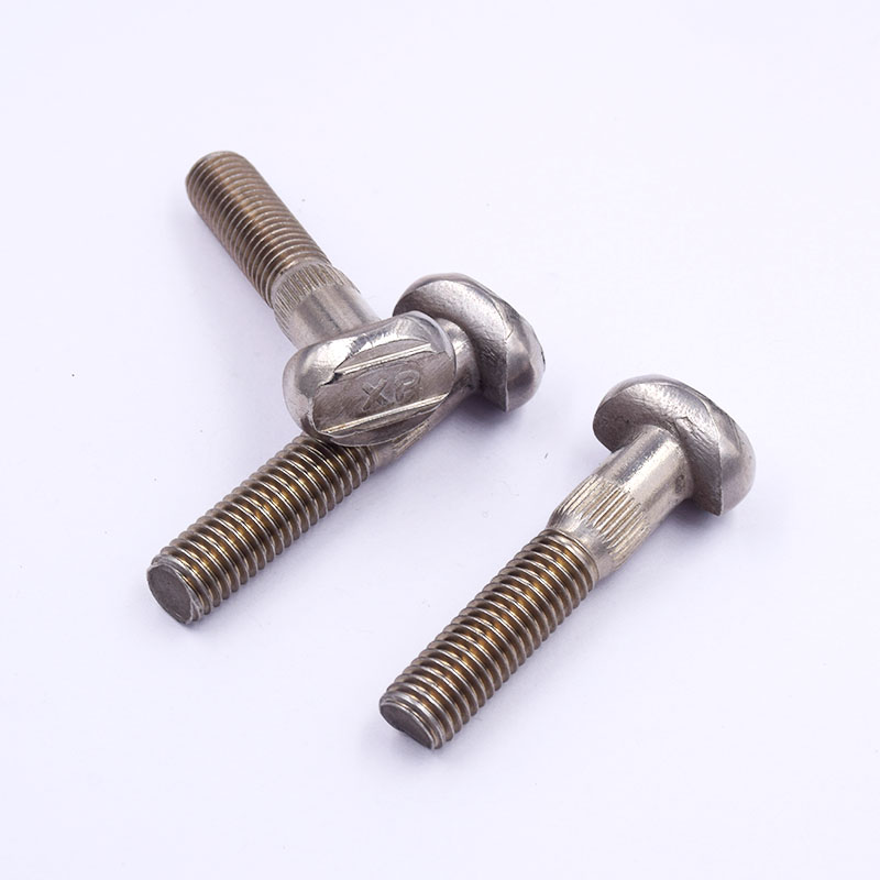 Stainless Steel Special-Shaped Fasteners