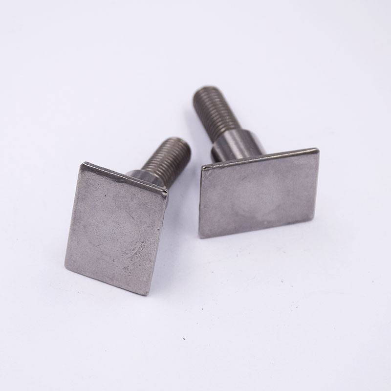 Stainless Steel Shaped Screw
