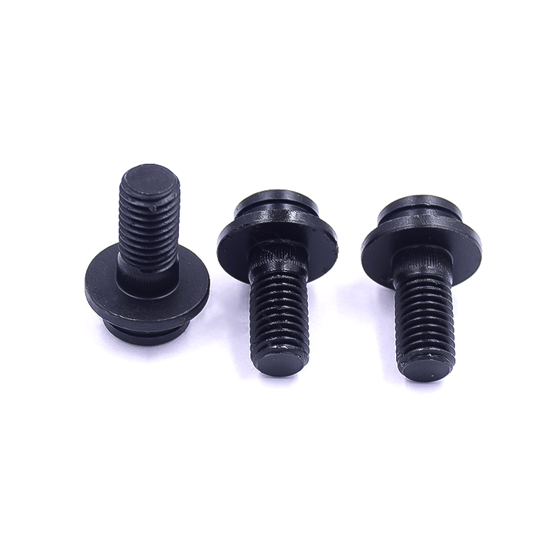 Stainless Steel Special-Shaped Screws