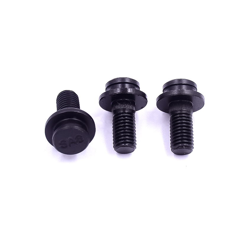Stainless Steel Special-Shaped Screws