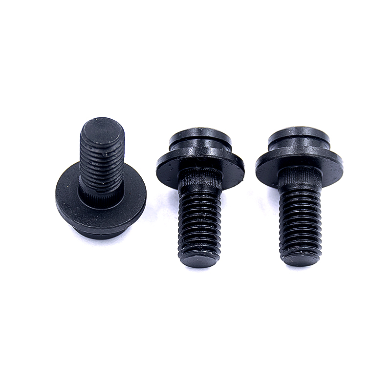 Stainless Steel Special-Shaped Screws