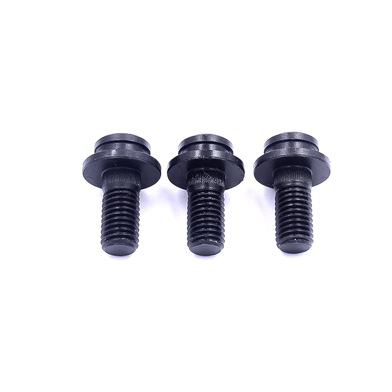 Stainless Steel Special-Shaped Screws