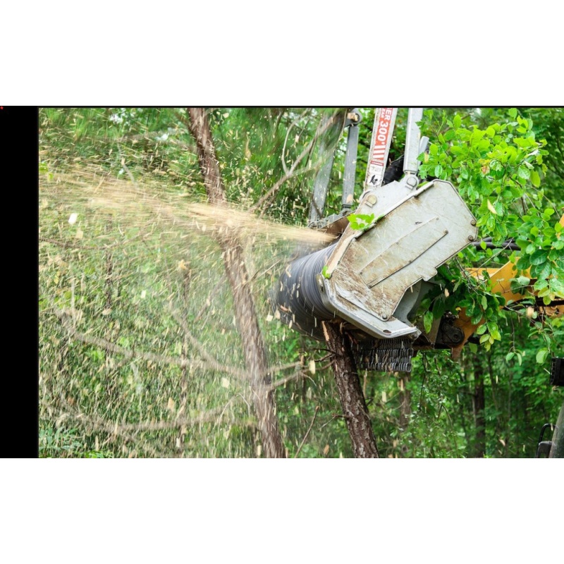 Wood Chipper BMA210-300