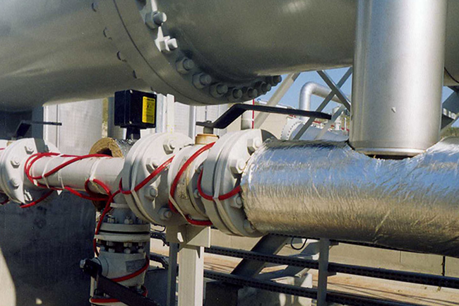 Combination of electric tracing belt and edible oil