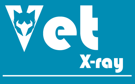 Innovative Veterinary Software Solutions Transform Imaging Workflows