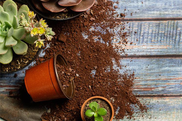 2 The Treatment Of Wood Preservative