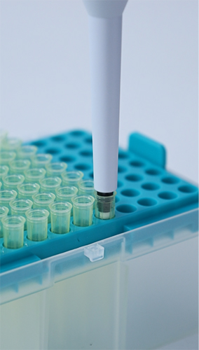 High Efficient Electronic Adjustable Pipette Dispense Liquid Filler