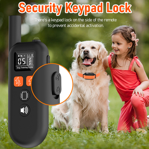 Dog Bark Control Collars Provide Effective Training Solutions for Pet Owners