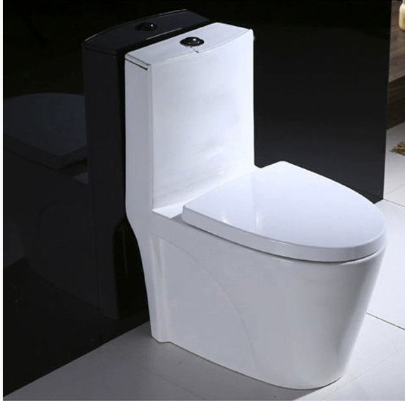 Consumer Guide: How to Choose an Energy-Efficient and High-Performance Toilet for Your Bathroom