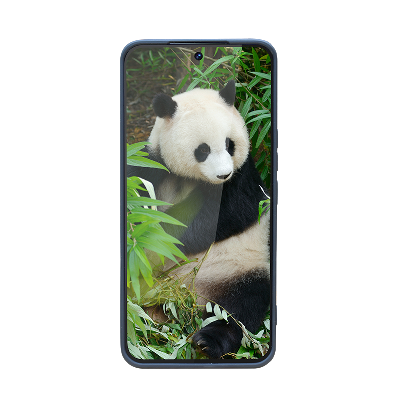 Ultra Thin Rugged Phone