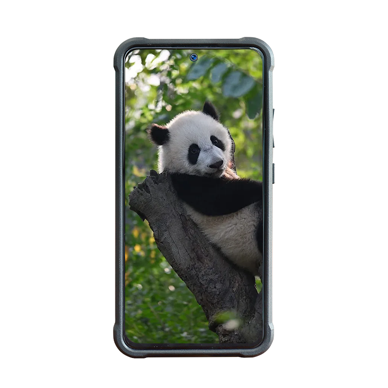 Rugged Phone For Outdoor Use