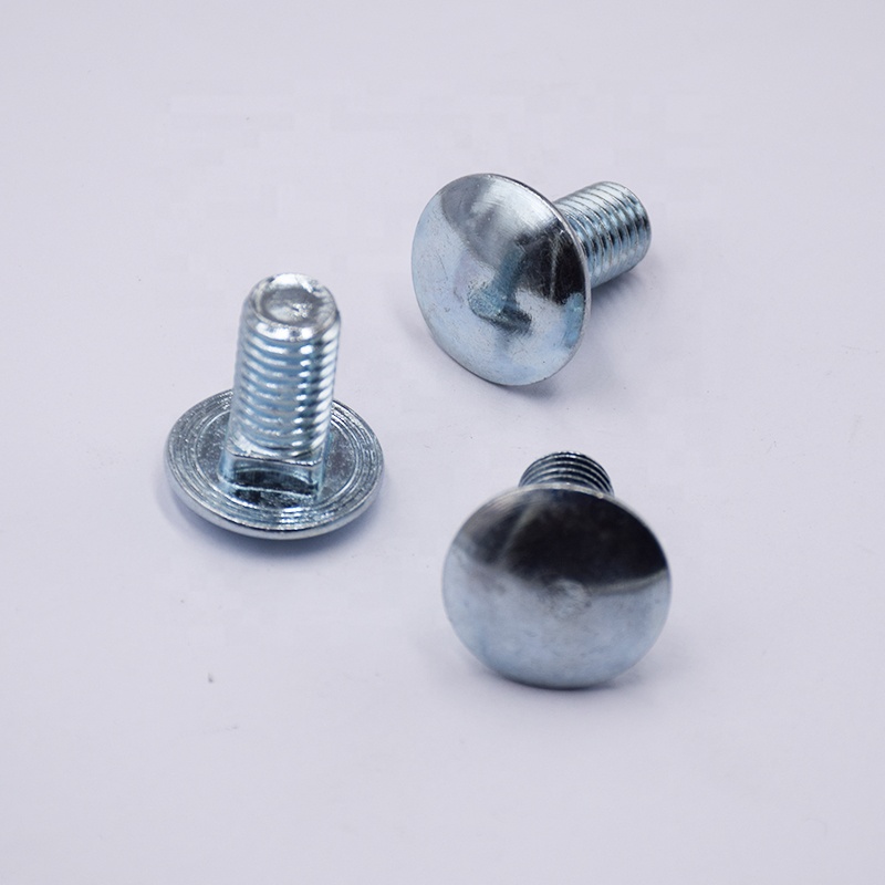 Carriage Screws
