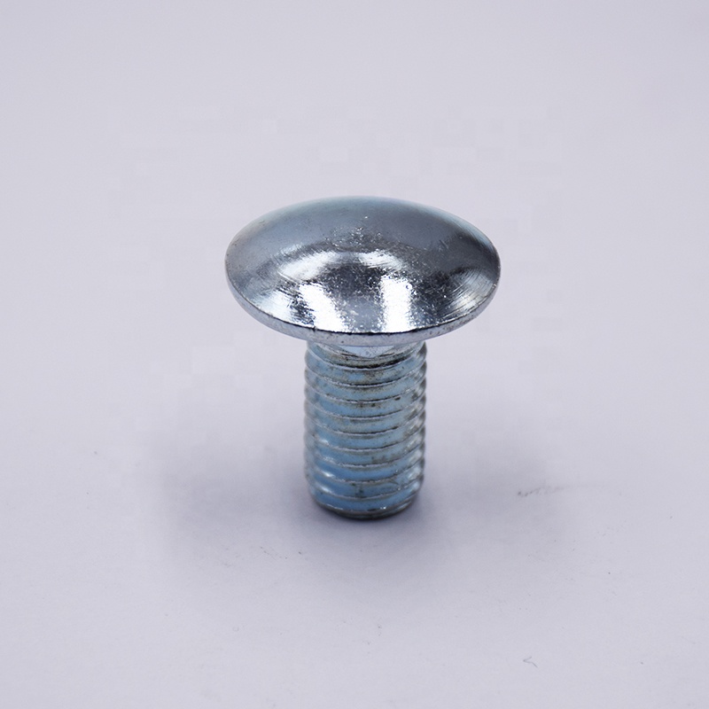 Carriage Screws