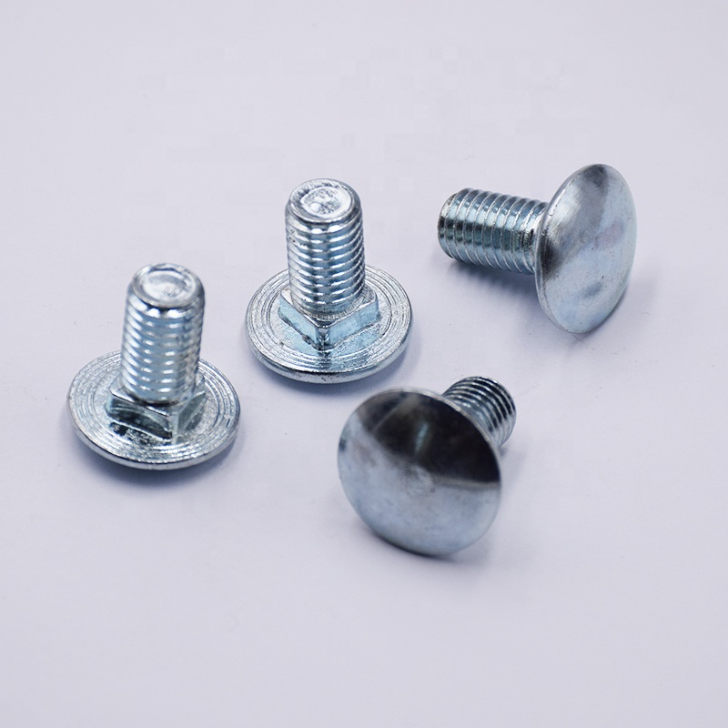 Carriage Screws