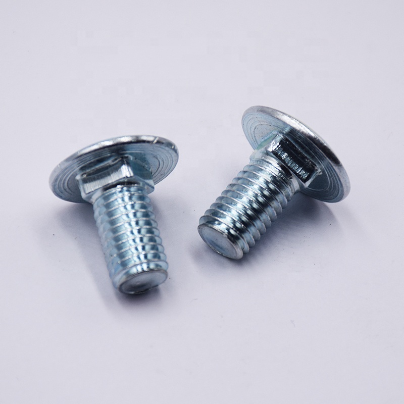 Carriage Screws