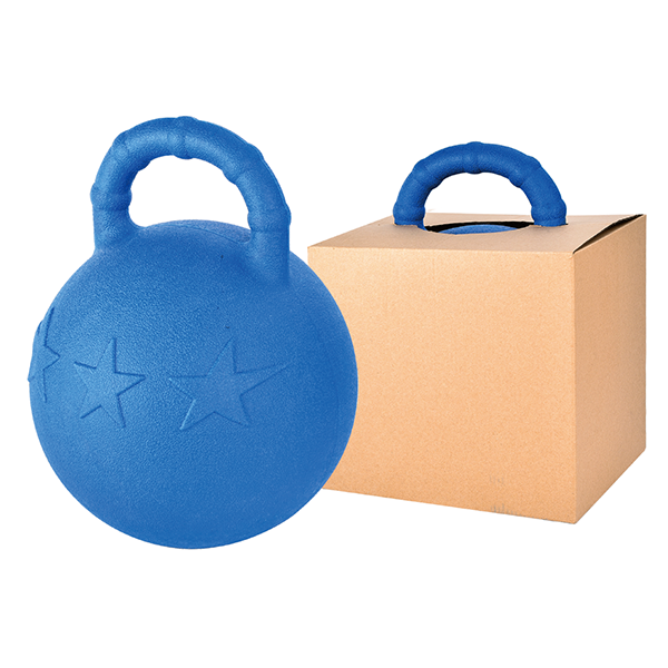 Innovative Horse Care Products Enhance Training and Wellbeing