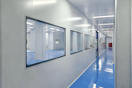 Completion Acceptance of the Indonesian Food Factory