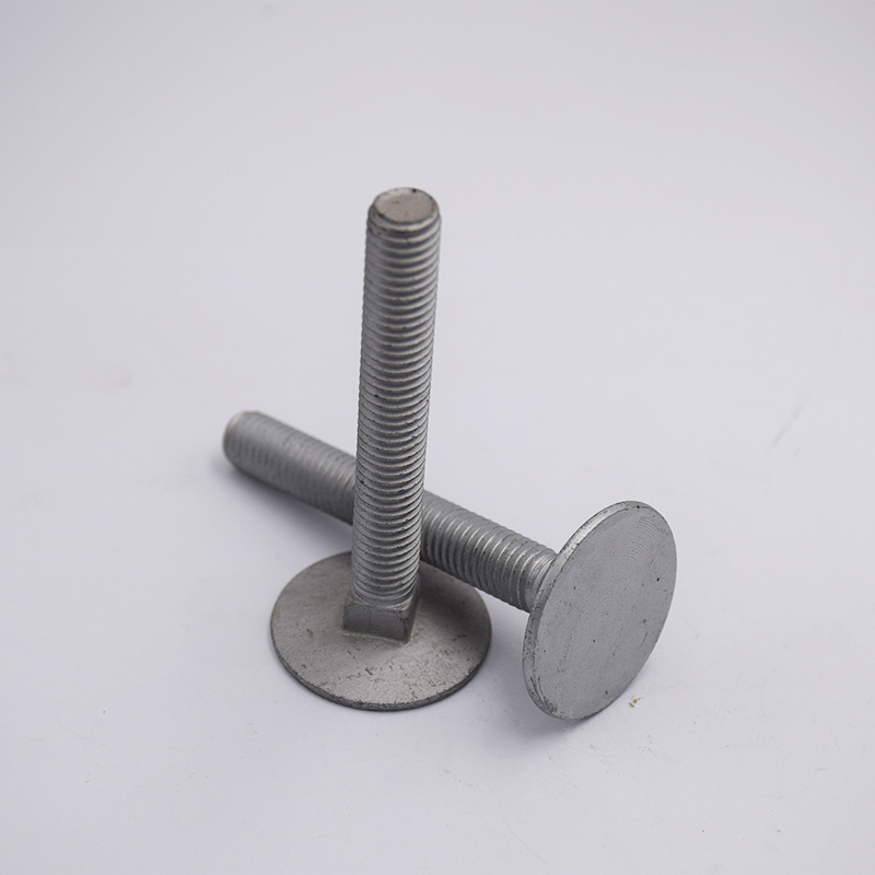 Dakro Round Head With Square Neck Bolts