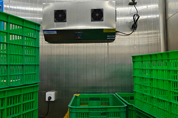 Air Purification Equipment