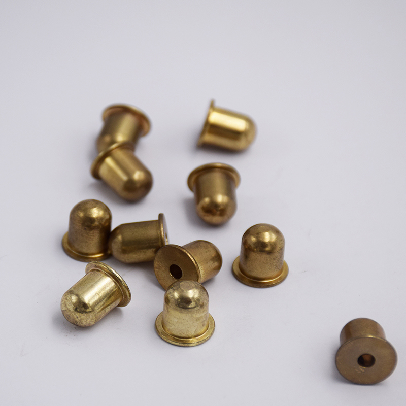 Stainless Steel Bullet-Shaped Rivets