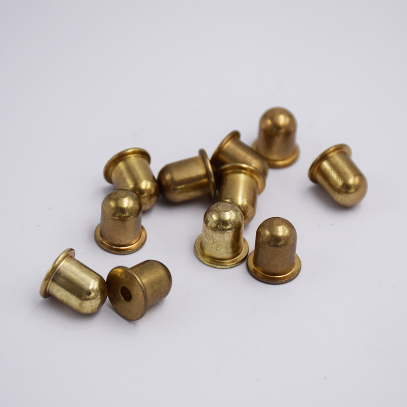 Stainless Steel Bullet-Shaped Rivets