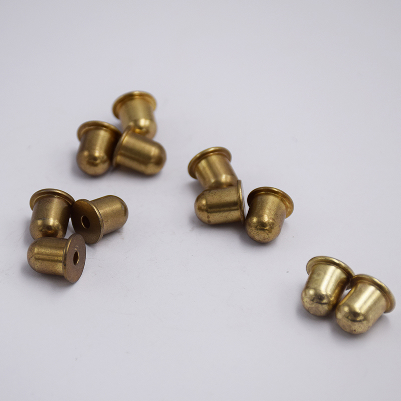 Stainless Steel Bullet-Shaped Rivets