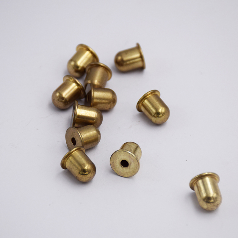 Stainless Steel Bullet-Shaped Rivets