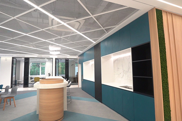 Jiangsu Boda New Materials × FLEXSYS