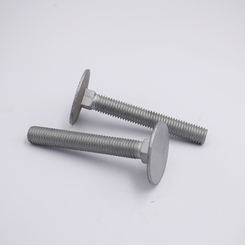 Dakro Countersunk Square Neck Bolts