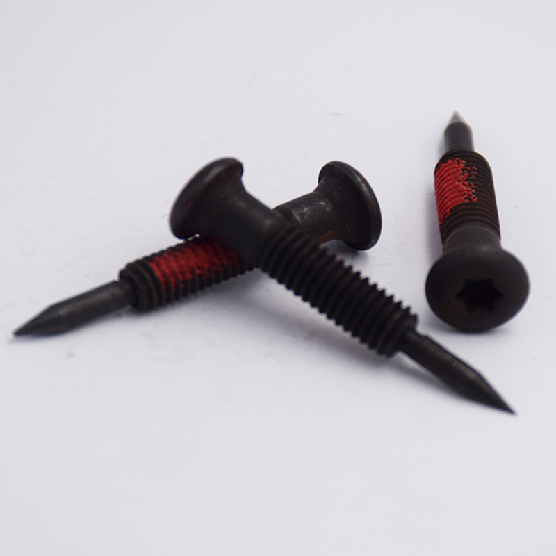 Internal Plum Blossom-Shaped Pointed Screw