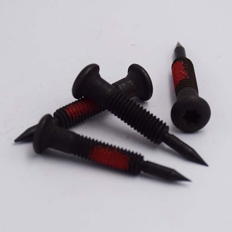 Internal Plum Blossom-Shaped Pointed Screw