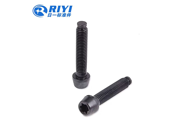 Internal Plum Blossom-Shaped Pointed Screw