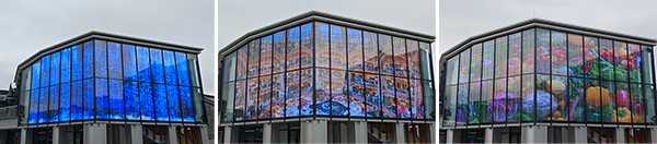 Transparent LED Display