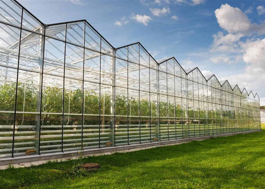 Electric heat tracing optimizes temperature control in greenhouses