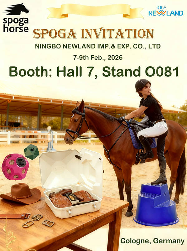 NL13707 Plastic massage curry comb