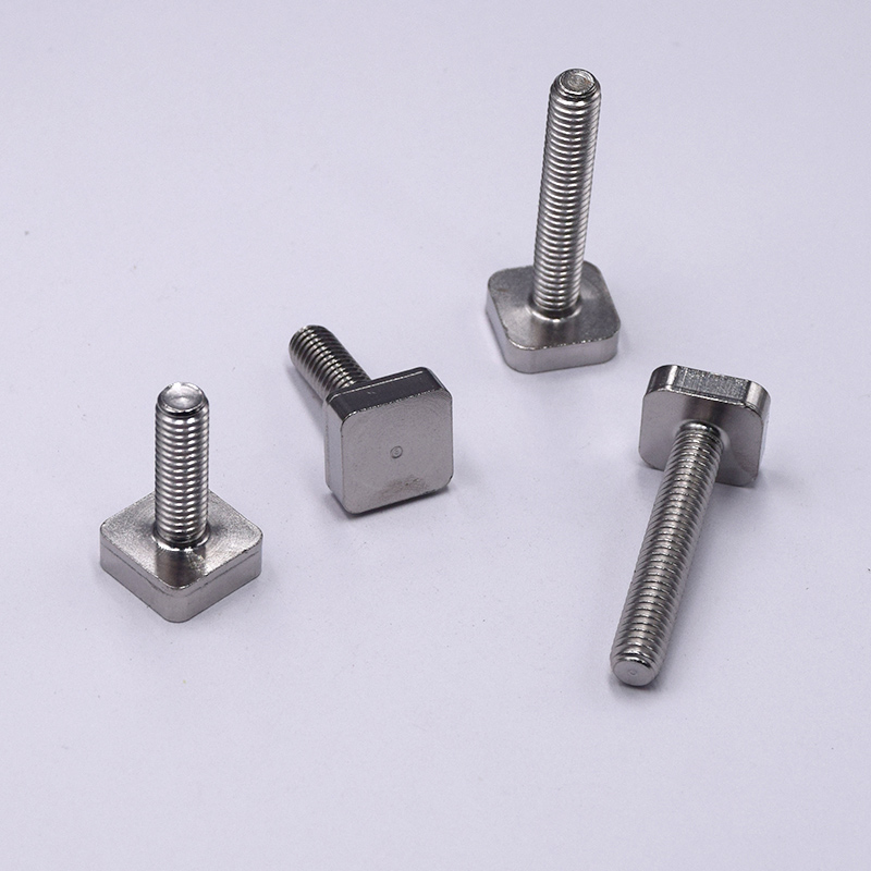 Stainless Steel Square Head Screws