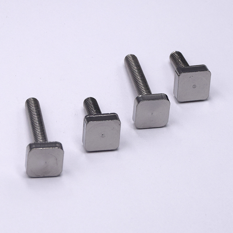 Stainless Steel Square Head Screws