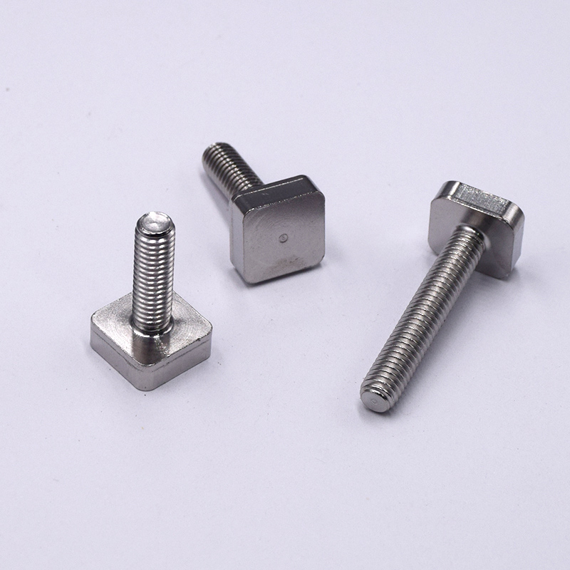 Stainless Steel Square Head Screws