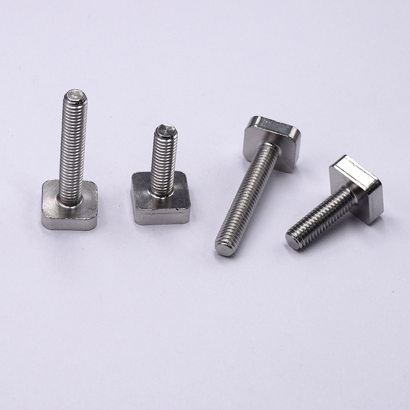 Stainless Steel Square Head Screws
