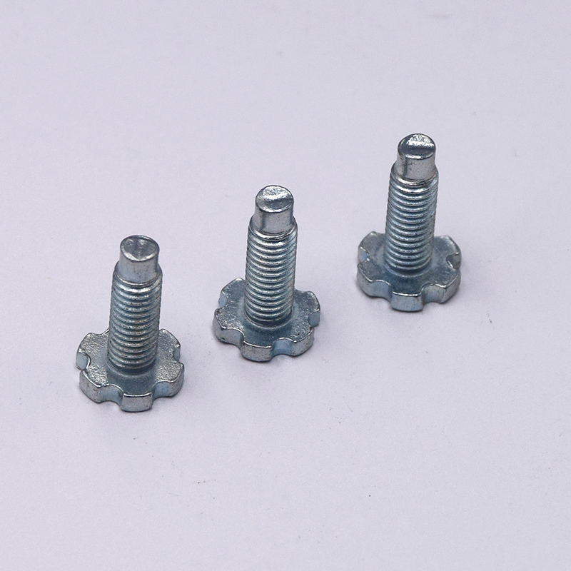 Black Oxide Precision Decorative Patterned Screw