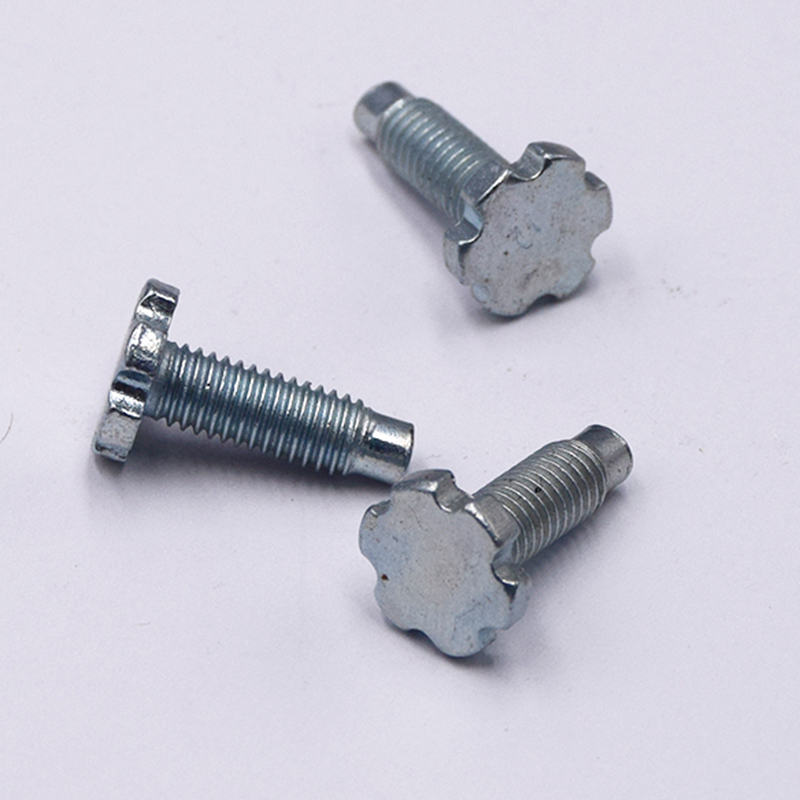 Black Oxide Precision Decorative Patterned Screw