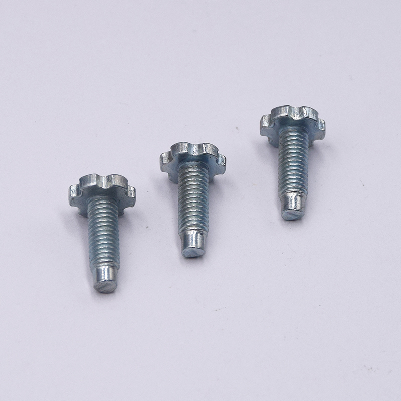 Black Oxide Precision Decorative Patterned Screw