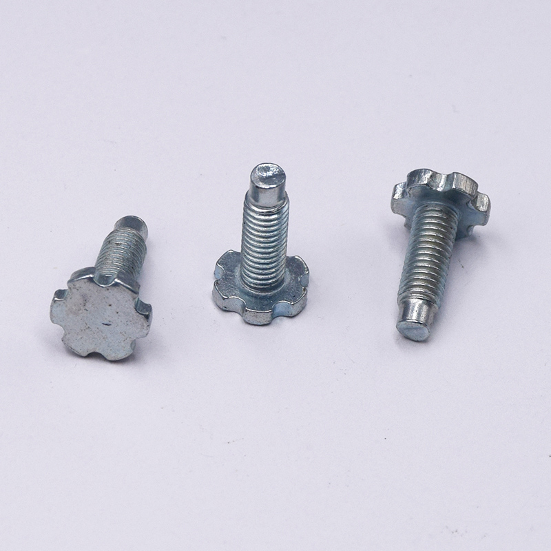 Black Oxide Precision Decorative Patterned Screw