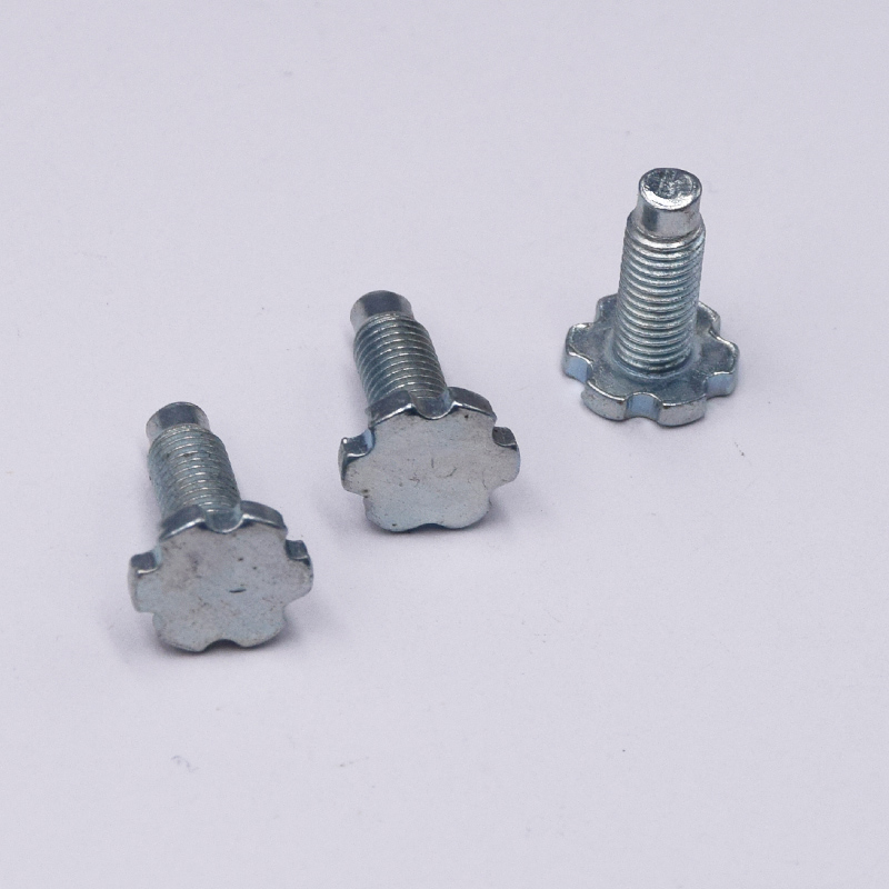 Black Oxide Precision Decorative Patterned Screw