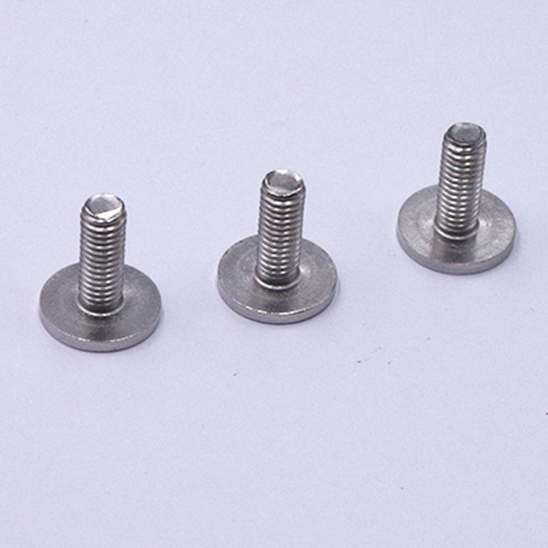 304 Polished Stainless Steel Round Head Screws