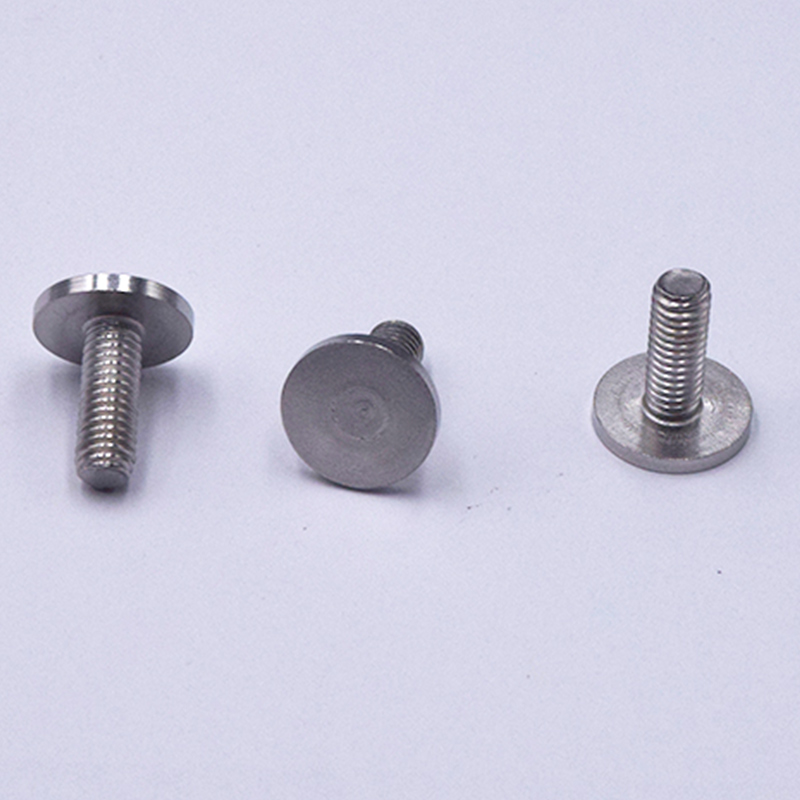 304 Polished Stainless Steel Round Head Screws