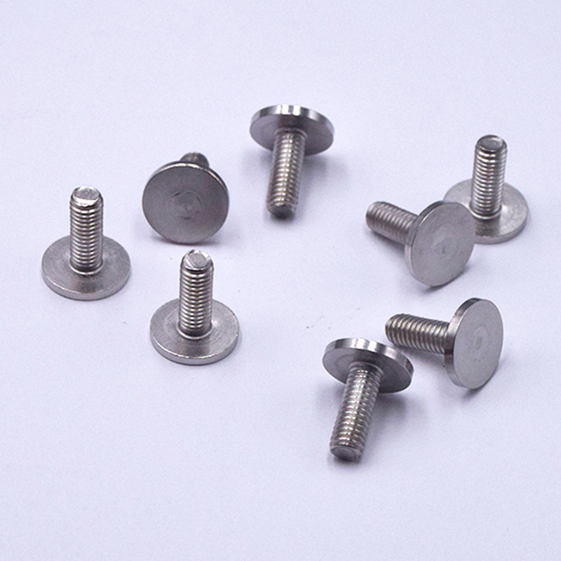 304 Polished Stainless Steel Round Head Screws