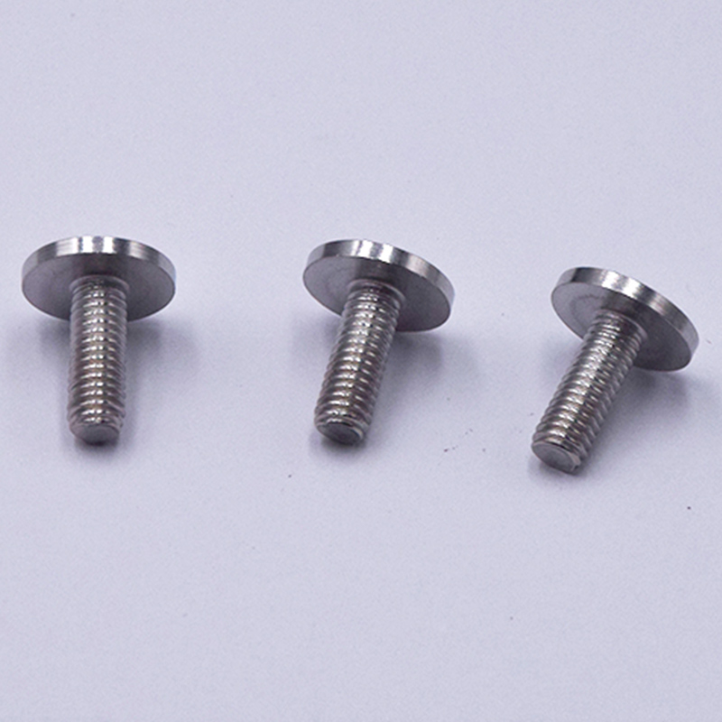 304 Polished Stainless Steel Round Head Screws