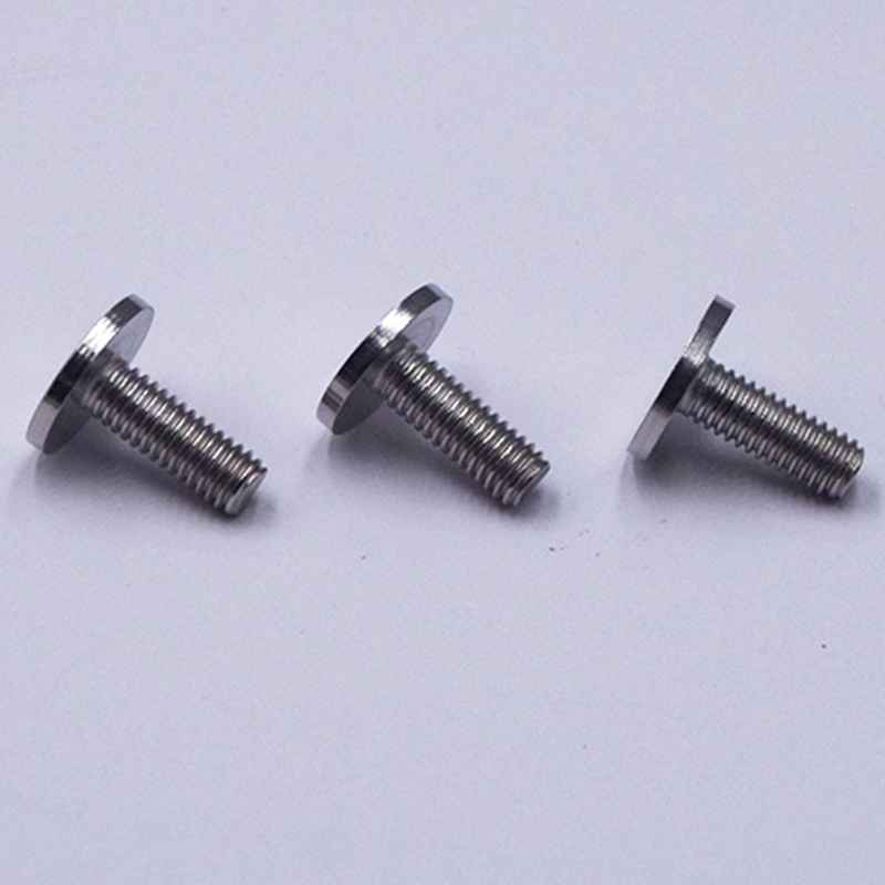 304 Polished Stainless Steel Round Head Screws